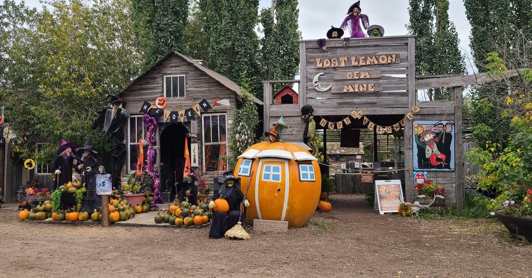 Prairie Gardens Pumpkin Patch